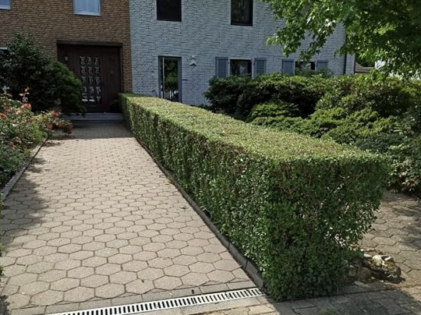 4C02BA59-17C0-454D-AC44-219DD70A26B6